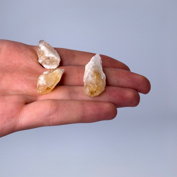 Citrin brut 5-15g