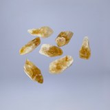 Citrin brut 5-15g